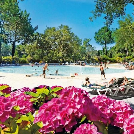 L'Appart Vue Golf Piscines Nature Ocean A Moliets Daire Dış mekan fotoğraf
